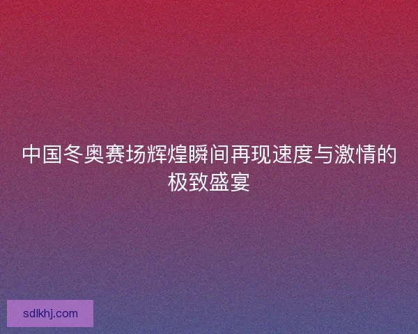 中国冬奥赛场辉煌瞬间再现速度与激情的极致盛宴