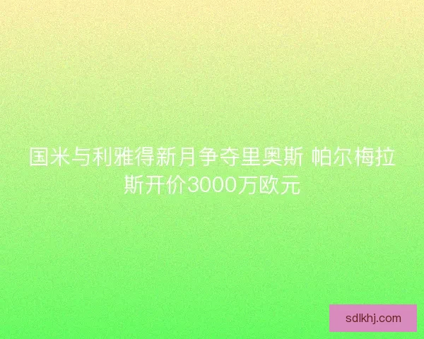 国米与利雅得新月争夺里奥斯 帕尔梅拉斯开价3000万欧元