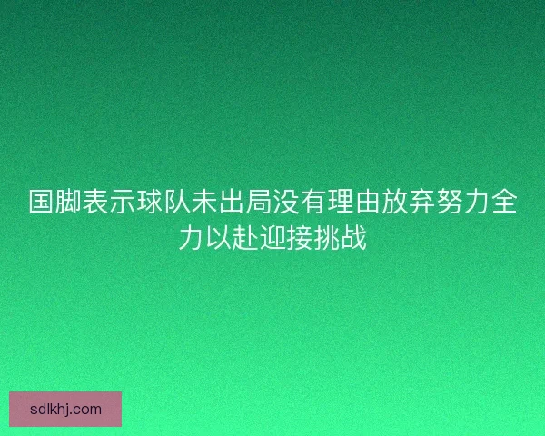 国脚表示球队未出局没有理由放弃努力全力以赴迎接挑战